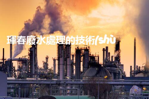 琿春廢水處理的技術(shù)突破與以后展望？